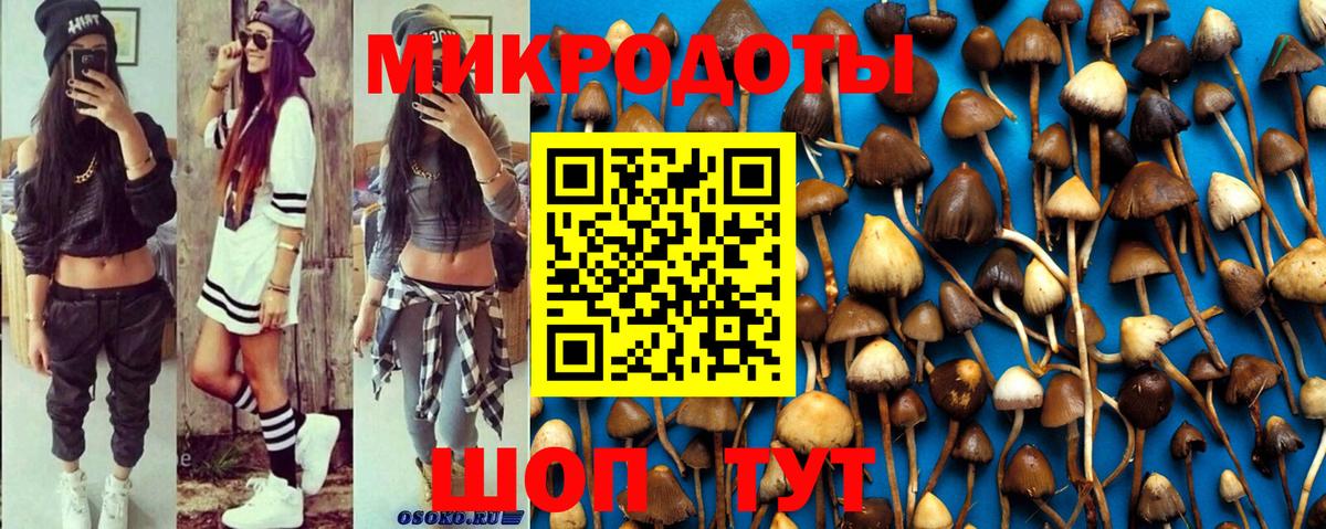 Псилоцибиновые грибы Cubensis Благовещенск