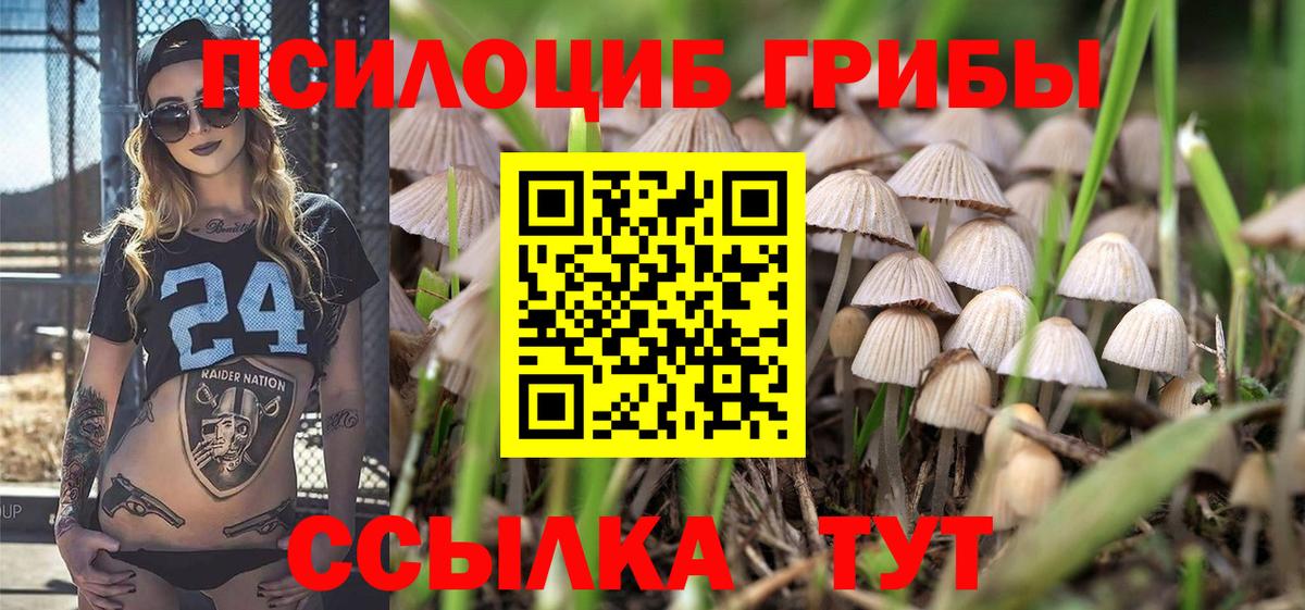 Псилоцибиновые грибы Magic Shrooms  Галлюциногенные грибы ЛСД  Вход с VPN  как найти закладки  Благовещенск 